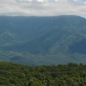 Meet your Posher, Kam